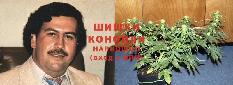 наркошоп  Новомосковск  Бошки Шишки OG Kush 